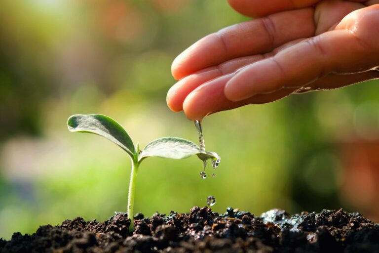 The Value of One: Igniting Growth with a Single Healthcare Marketing Partner