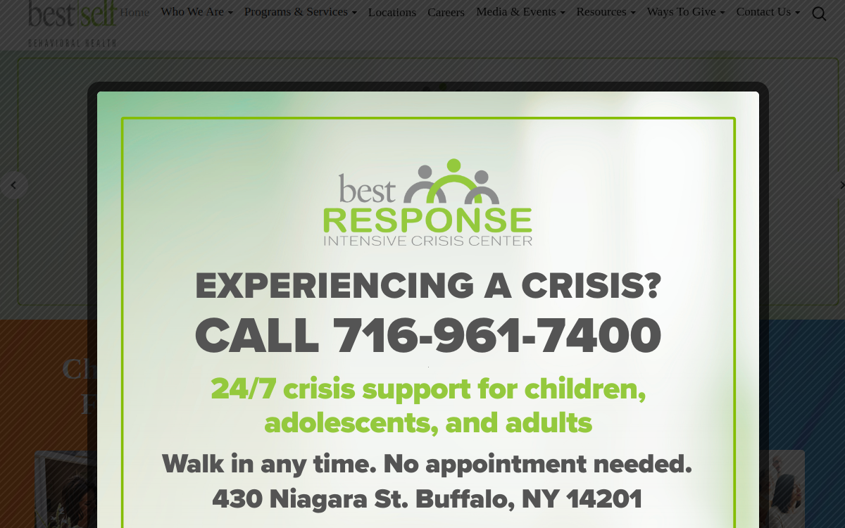 Website homepage of BestSelf Behavioral Health, Inc