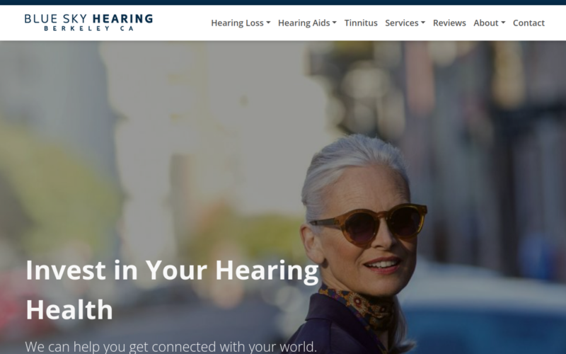 Website homepage of Blue Sky Hearing