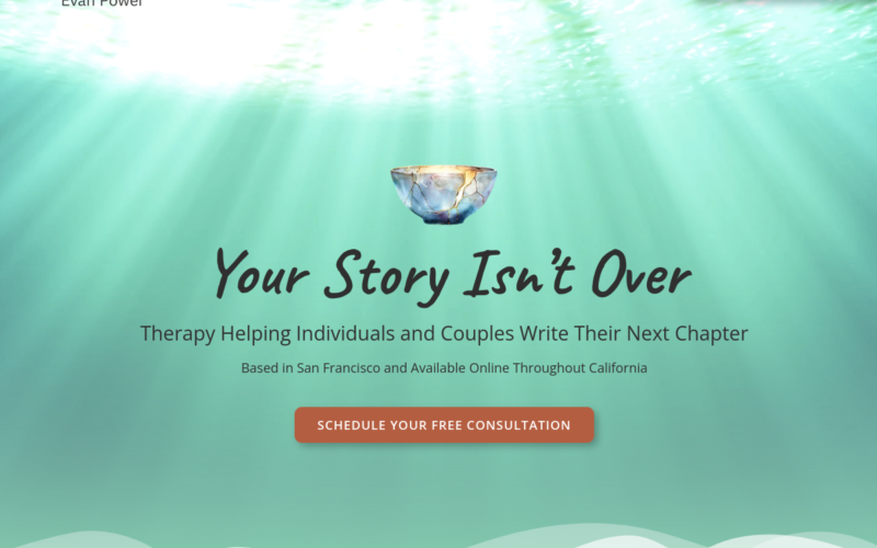 Website homepage of Insights with Evan