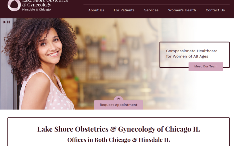 Website homepage of Lakeshore Obstetrics & Gynecology, L.L.C.